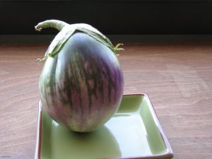 The Rosa Bianca eggplant that won the beauty contest.