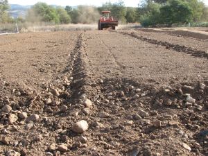 Rocky soils are being "crushed".
